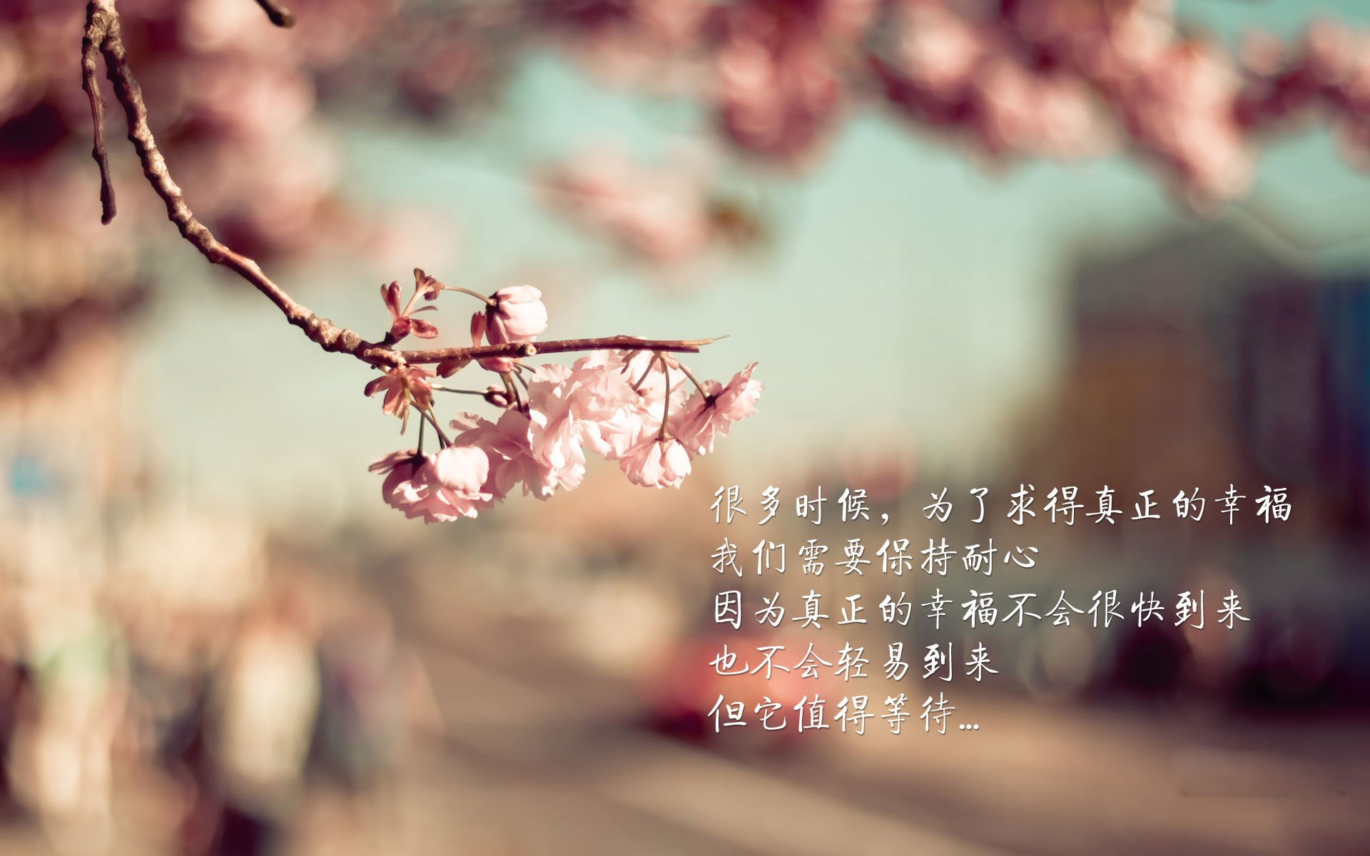 英超赛季中途战术革命对晋级与降级概率影响,mixer英超战术史